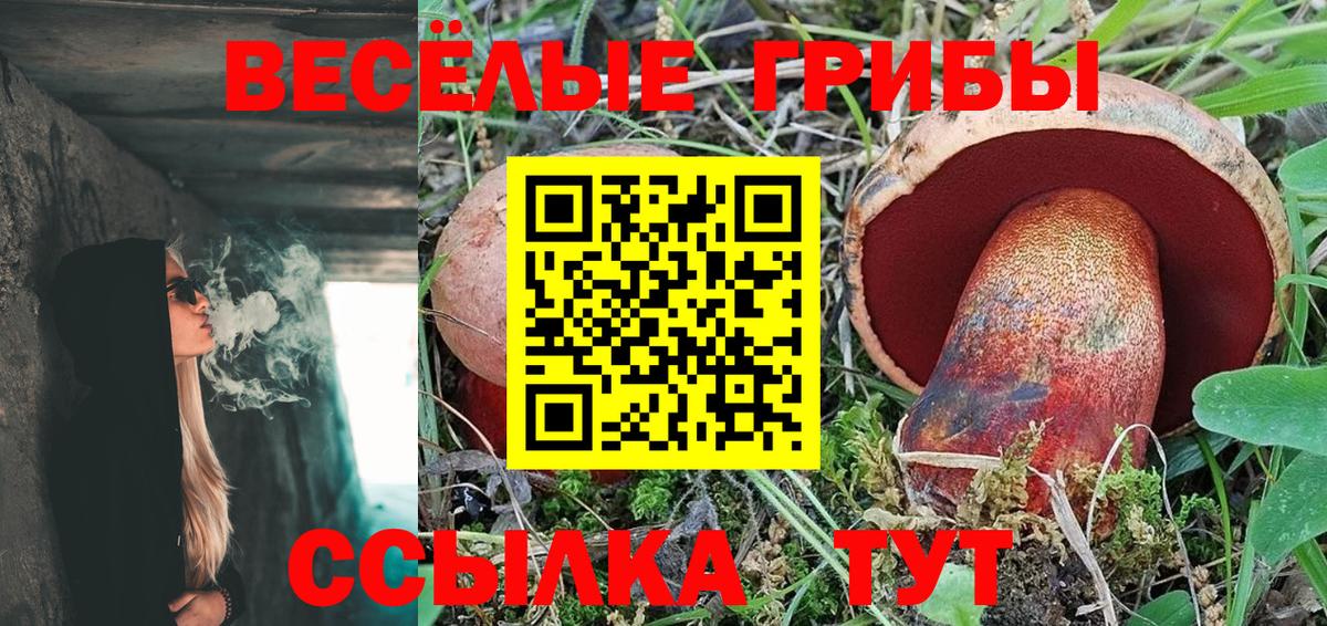 Галлюциногенные грибы Psilocybine cubensis Арсеньев