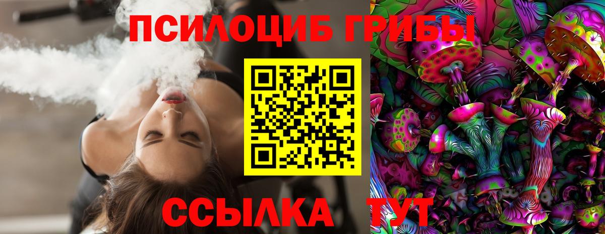 Арсеньев  Псилоцибиновые грибы Cubensis  Псилоцибиновые грибы Psilocybine cubensis  Вход с VPN 